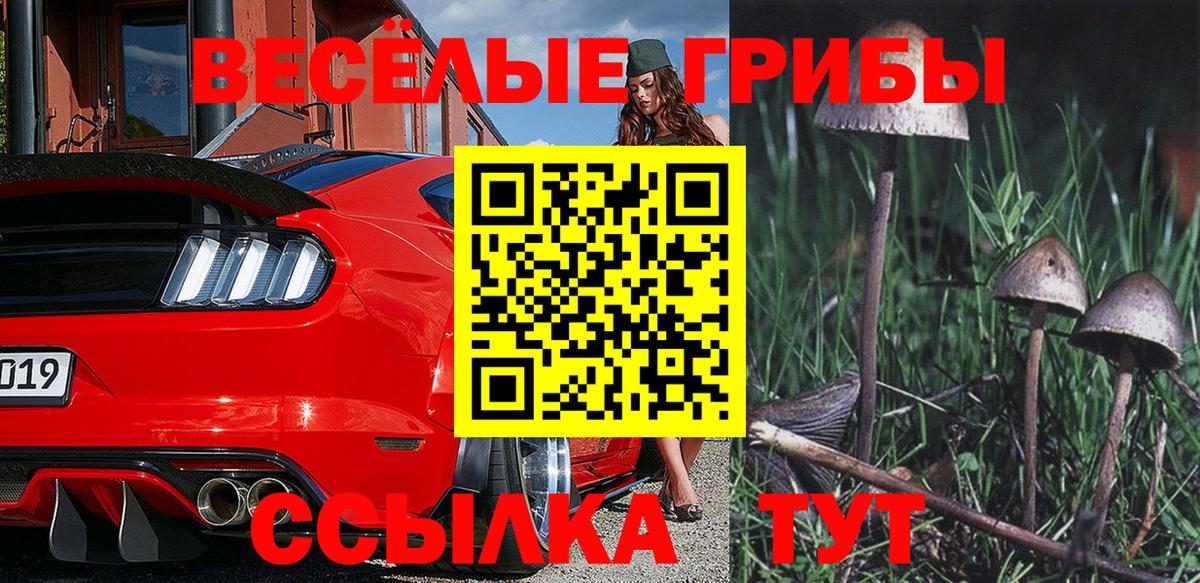 Галлюциногенные грибы Magic Shrooms  как найти закладки  Нижнекамск 