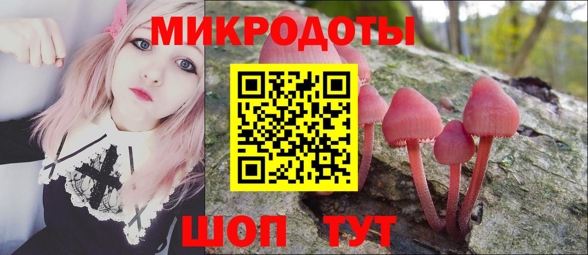 Псилоцибиновые грибы прущие грибы  Вход с VPN  Нижнекамск  Псилоцибиновые грибы GOLDEN TEACHER 
